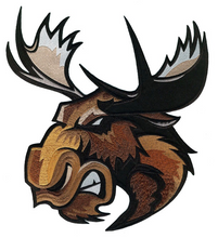 Load image into Gallery viewer, Custom Hockey Jerseys with the Big Moose Embroidered Twill Logo