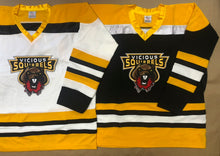 Load image into Gallery viewer, Custom Hockey Jerseys with a Squirrels Embroidered Twill Logo