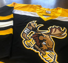 Load image into Gallery viewer, Custom Hockey Jerseys with a Moose Embroidered Twill Crest
