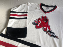 Load image into Gallery viewer, Custom hockey jerseys with the Skating Devil logo