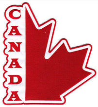 Load image into Gallery viewer, Custom Hockey Jerseys with a Team Canada Embroidered Twill Crest