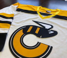 Charger l'image dans la galerie, Maillots de hockey personnalisés avec un logo brodé des Stingers en sergé