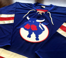 Charger l'image dans la galerie, Maillots de hockey personnalisés avec un logo en sergé brodé de taureau