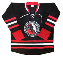 Load image into Gallery viewer, Custom Hockey Jerseys with a Hockey Hall of Fame Embroidered Twill Logo