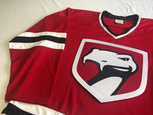 Charger l'image dans la galerie, Custom hockey jerseys with the Vipers twill team logo.