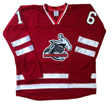 Load image into Gallery viewer, Red and White Hockey Jerseys with The Boozers Twill Logo
