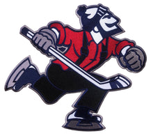 Laden Sie das Bild in den Galerie-Viewer, Individuelle Hockey-Trikots mit einem gestickten Twill-Logo von Johnny Canuck 
