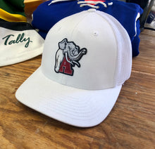 Load image into Gallery viewer, Flex-Fit Hat with an &quot;A&quot; style crest / logo $39 (White / White)
