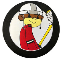 Load image into Gallery viewer, Custom Hockey Jerseys with a Funky Monkey Twill Team Logo
