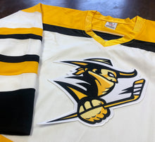 Load image into Gallery viewer, Custom Hockey Jerseys with a Bandits Embroidered Twill Logo
