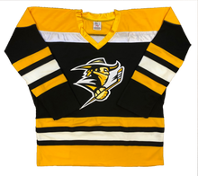 Load image into Gallery viewer, Custom Hockey Jerseys with a Bandits Embroidered Twill Logo
