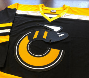 Custom Hockey Jerseys with a Stingers Embroidered Twill Logo