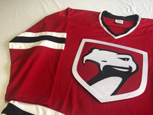 Load image into Gallery viewer, Custom hockey jerseys with the Vipers twill team logo.
