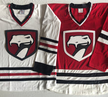 Load image into Gallery viewer, Custom hockey jerseys with the Vipers twill team logo.
