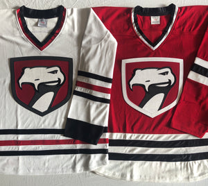 Custom hockey jerseys with the Vipers twill team logo.